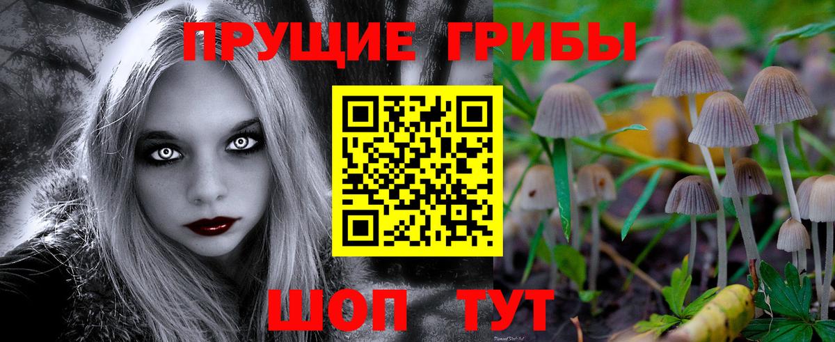 Галлюциногенные грибы мицелий  Вход с VPN  Галлюциногенные грибы прущие грибы  Котельники 