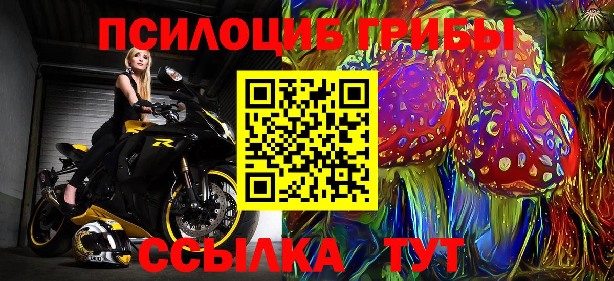 Галлюциногенные грибы Psilocybine cubensis Котельники